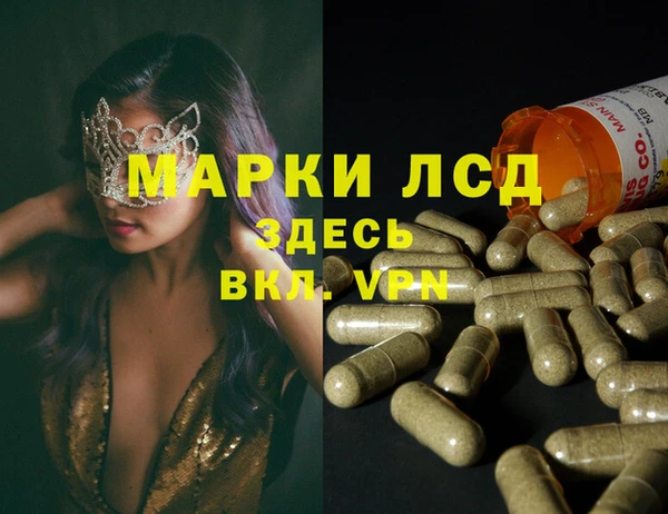 ГАЛЛЮЦИНОГЕННЫЕ ГРИБЫ Балабаново