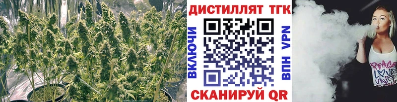 ТГК THC oil  Ногинск 