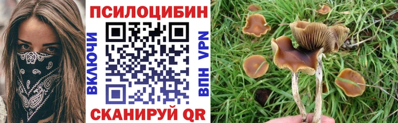 маркетплейс телеграм  Ногинск  Псилоцибиновые грибы мухоморы  мега ТОР 
