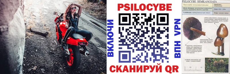 Галлюциногенные грибы мицелий Ногинск